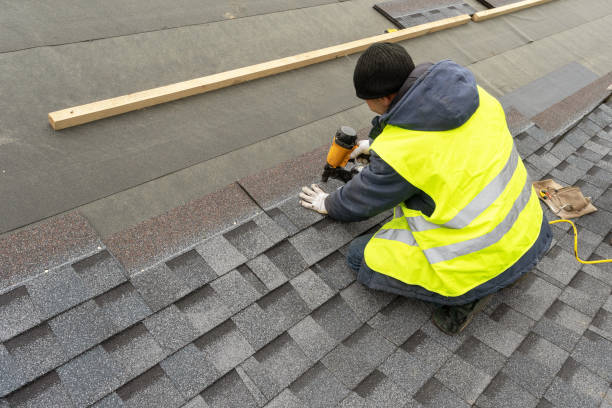 Best Roof Gutter Cleaning  in Ouray, CO
