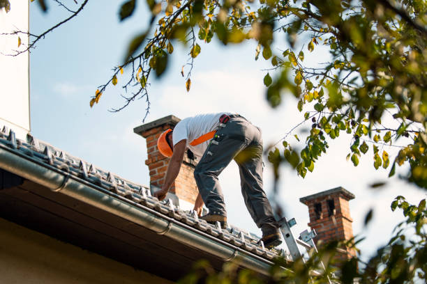 Roof Installation Near Me in Ouray, CO