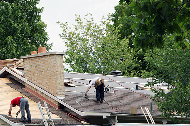Best Tile Roofing Contractor  in Ouray, CO