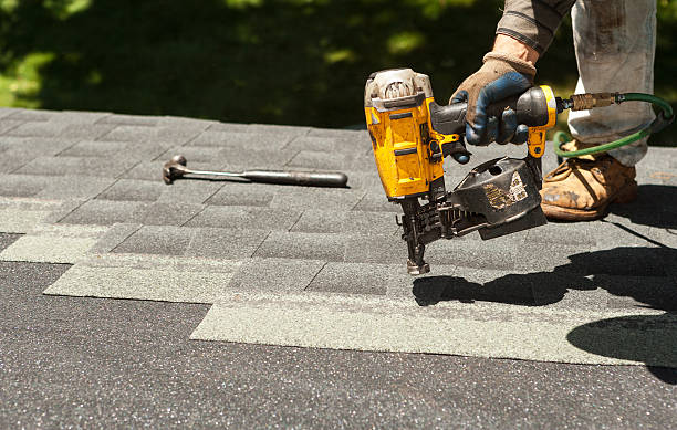 Best Roof Leak Repair  in Ouray, CO