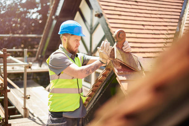 Best Residential Roofing Contractor  in Ouray, CO