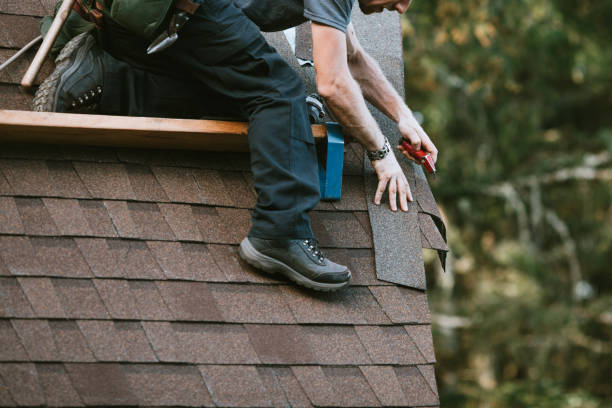 Best Roof Waterproofing Services  in Ouray, CO